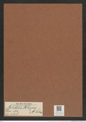 Auliscus rhipis A. Schm. (de-Toni-Nr.: Genus 171, Species 4358) Zeichnungen Sammlung Grunow Mappe 04314 (Herbarium_W_Grunow_drawings_Folder_04314)